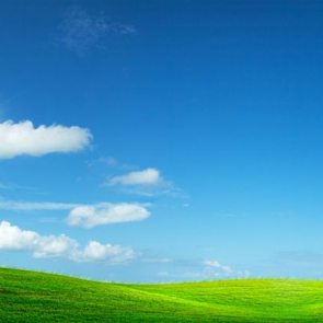 Панорама 08323