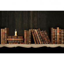 Книжная полка 14709