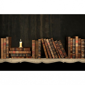 Книжная полка 14709