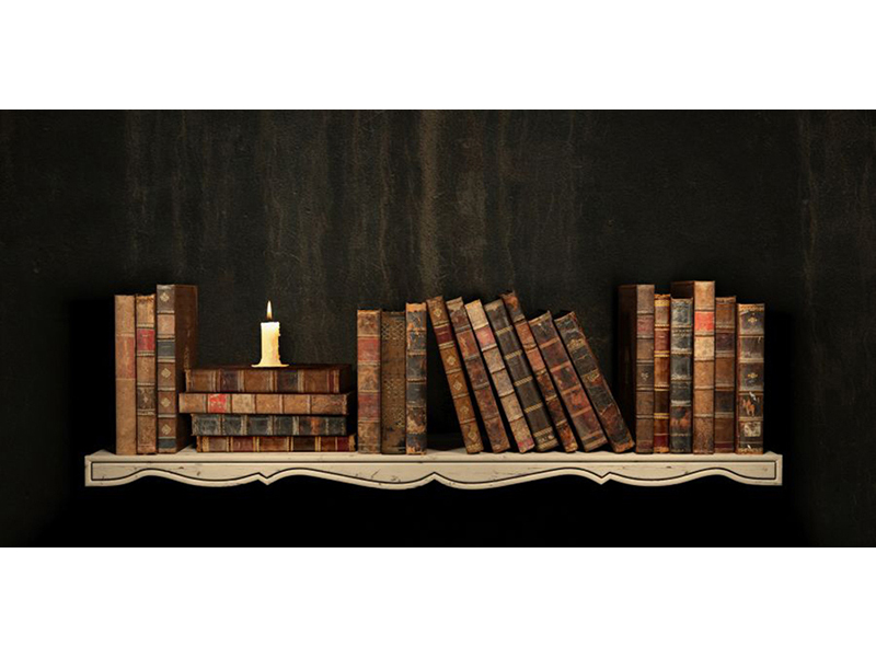 Книжная полка 14709 3604