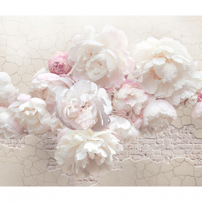 Фотообои Бело-розовые цветы лофт 3D