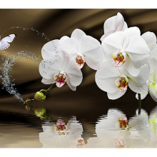 Белые орхидеи с бабочкой