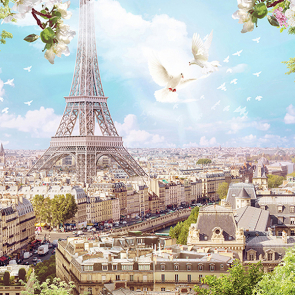 Вид на Париж в полдень