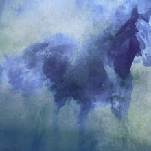 Лошадь в дымке