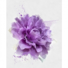 Фиолетовый акварельный цветок