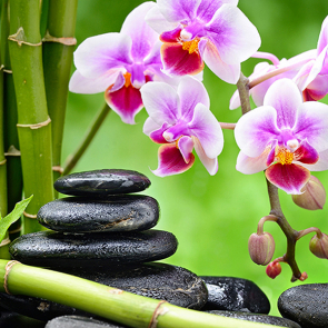 Базальтовые камни и орхидеи