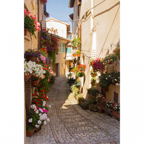 Цветочный переулок