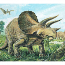 Динозавры 5583