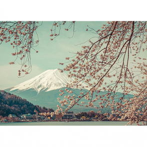 Гора Фудзи весной
