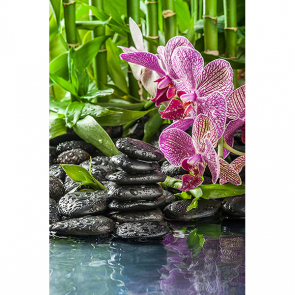 Камни и орхидея