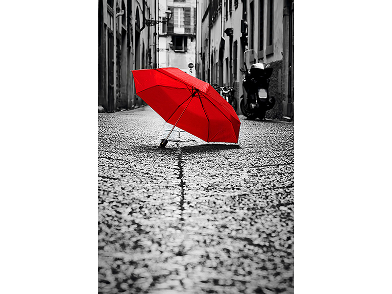 Красный зонт 3258