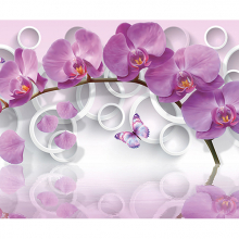Орхидея и круги