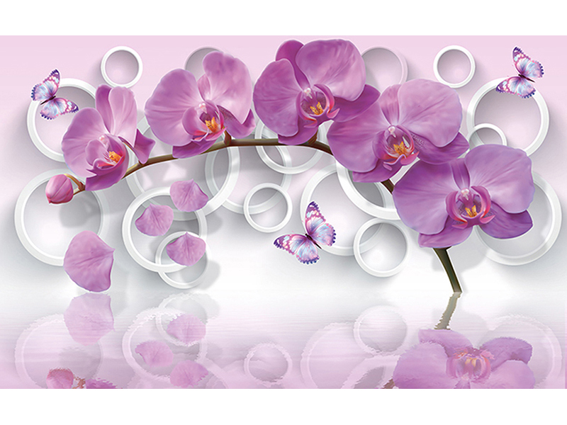 Орхидея и круги 2939