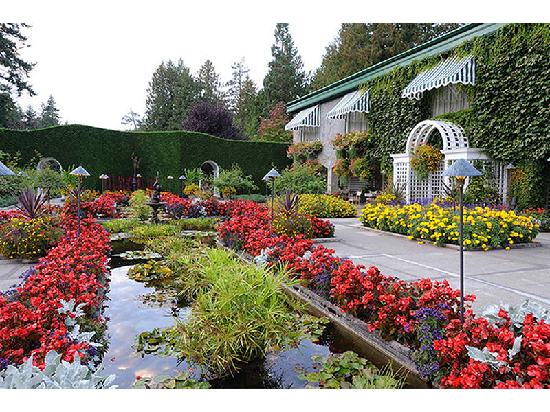 Сад в Ванкувере 1206