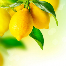 Спелые лимоны 174457913