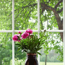 Вид из окна с вазой роз