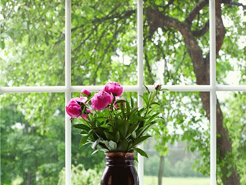 Вид из окна с вазой роз 4854
