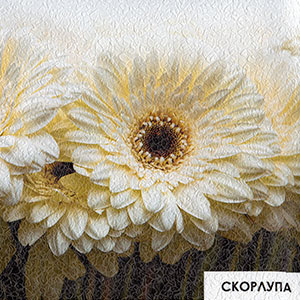 Фотообои на текстуре эконом бумага